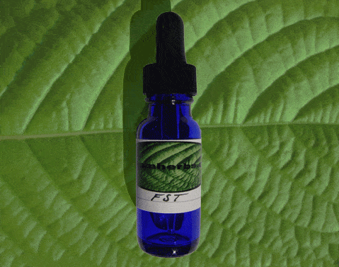 The Best Kratom FST (Full Spectrum Tincture) – Reviews and Benefits